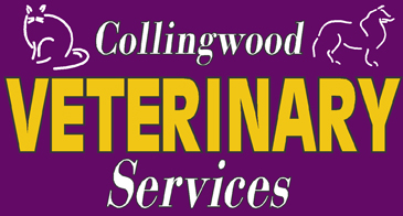 Collingwood Veterinary Services