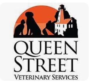 Queen Street Veterinary Services