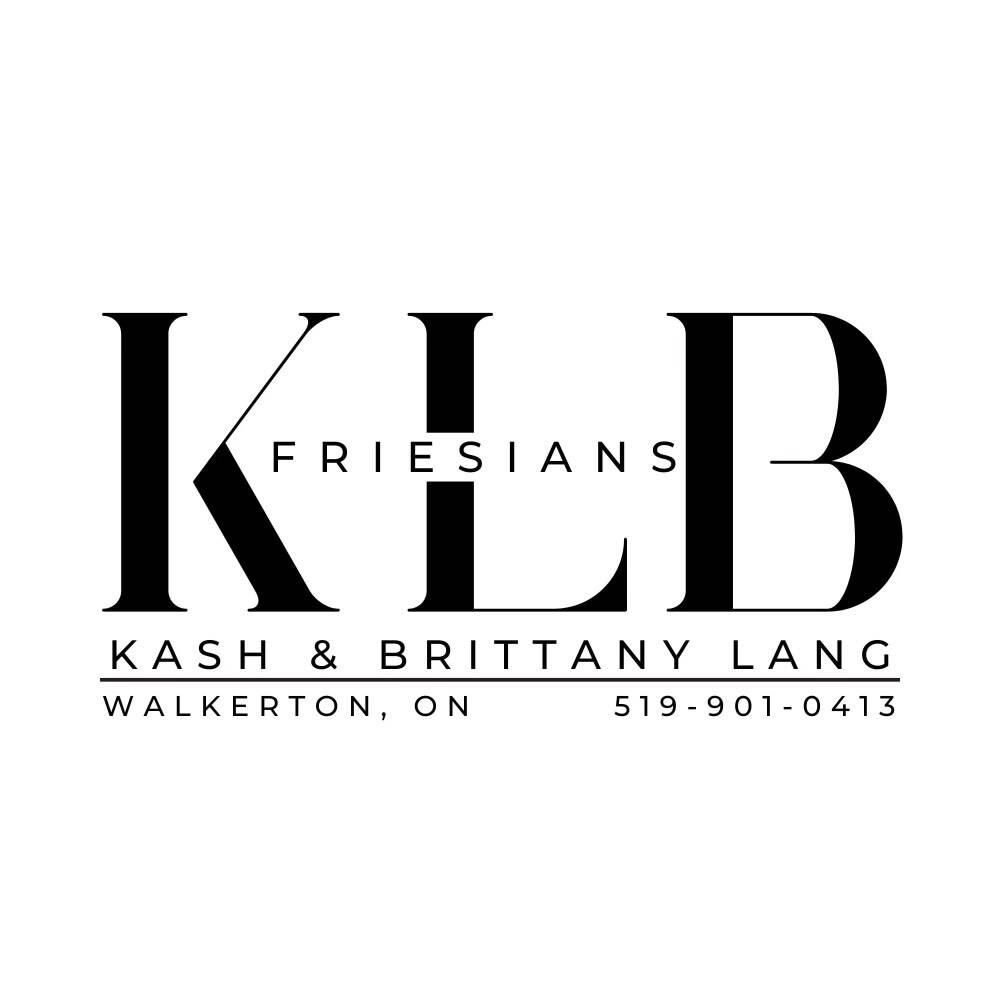 SILVER SPONSOR KLB FRIESIANS