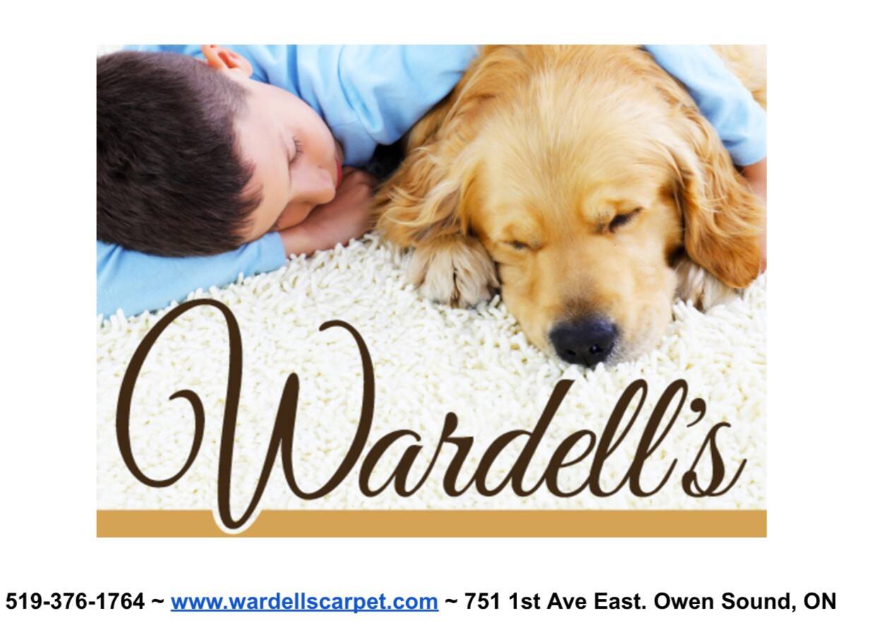 SILVER SPONSOR WARDELLS CARPET AND MORE 