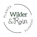 Wilder and Rain